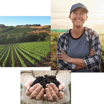 Vineyard – extends across rolling hills – under a clear blue sky.  
Person – smiles broadly – stands in a sunlit field.  
Hands – hold rich soil – outdoors, suggesting gardening.